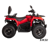 Квадроцикл Bizon YK200 BASIC CARB