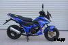 Мопед PROMAX STREET CROSS 150 (49) АКЦИЯ