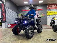 Квадроцикл PROMAX RENEGADE 300 LONG WINCH PRO