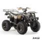 Квадроцикл PROMAX ATV 250