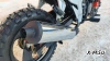 Мопед PROMAX STREET CROSS 150 (49) АКЦИЯ
