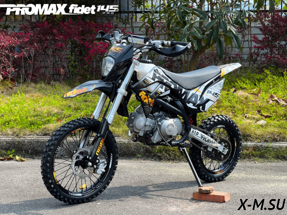 Мотоцикл (питбайк) PROMAX FIDET (ФАЙДЕТ) 145E PRO 14/12