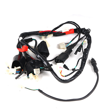 Жгут проводов INTRUDER